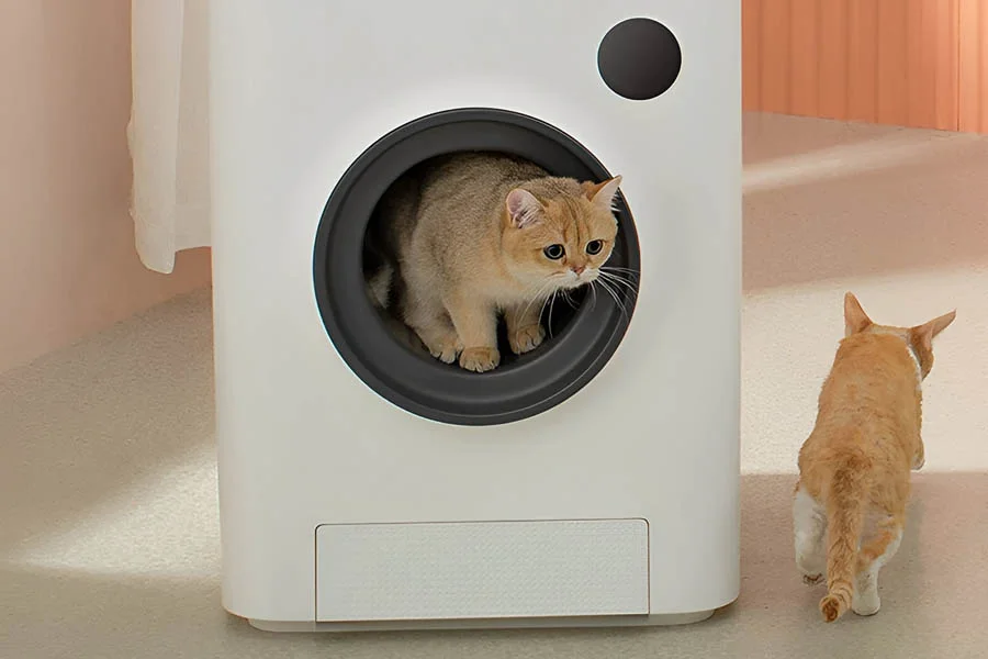 best automatic litter box for large cats